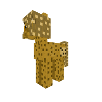 Cookie
