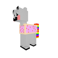 Nyan cat pony