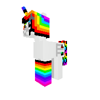 Rainbow Socks