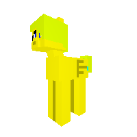 New Pony