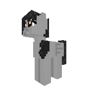 New Pony