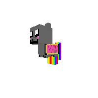 gato galleta