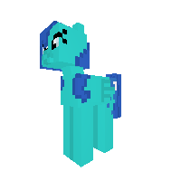 New Pony