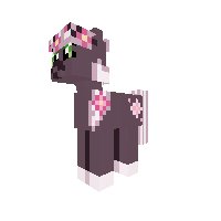 Cherry Blossom
