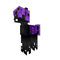New Pony