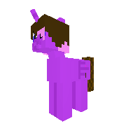 My Look as a pony