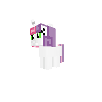 New Pony