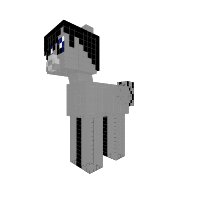 New Ponyr
