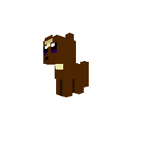Evee
