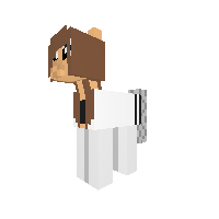 New Pony