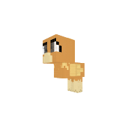 Torchic: Starter Pokemon