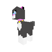 Cassie the cat