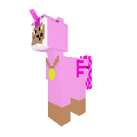 New Pony