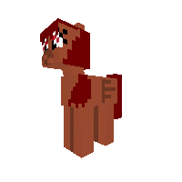 New Pony