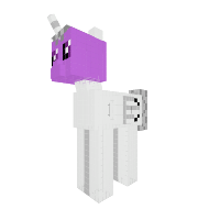 New Pony