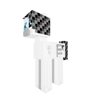 Snowdrift