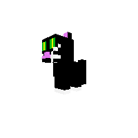 cat Pony