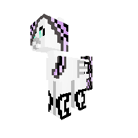 New Pony
