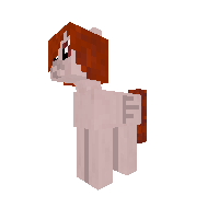 New Pony