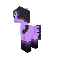 New Pony