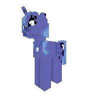 New Pony