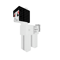 Black and white pony