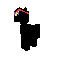 Ninjapony