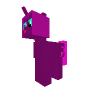 hadjes pony