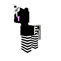 puppet/merieonet
