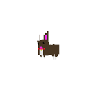Sup Dawg