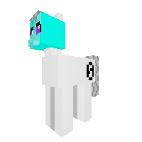 New Pony