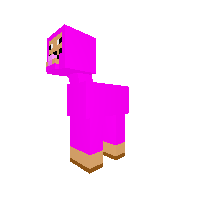 Pink Sheep