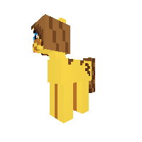 pokemon pony