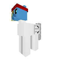 New Pony