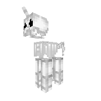 Skeleton