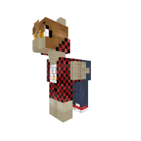TheBajanCanadian (Mitch): YouTuber