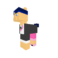 Marinette pony