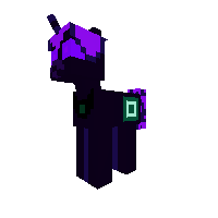 New Pony