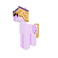 rap pony