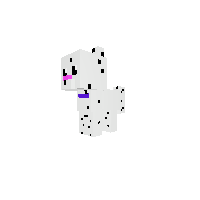 Pongo