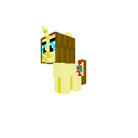 New Pony