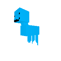 Dolphin
