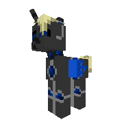 New Pony