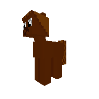 New Pony