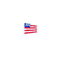 American Flag