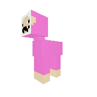 Pink Sheep