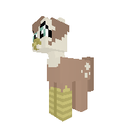 New Pony