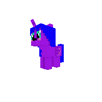 New Pony