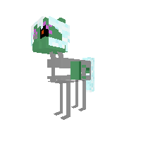 New Pony