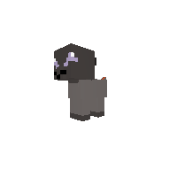 Salandit